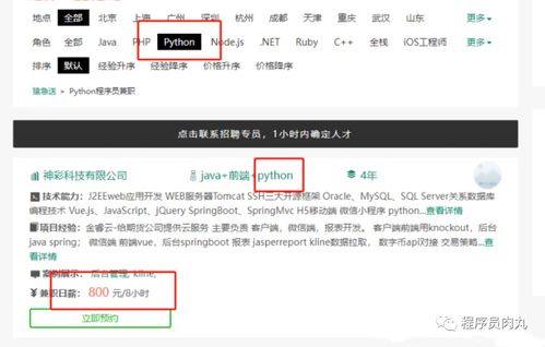 Python赚钱大法 大学生如何通过软件外包服务月入过万